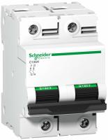 Schneider Electric A9N18501 АВТОМАТИЧЕСКИЙ ВЫКЛЮЧАТЕЛЬ C120H 2П 80A D